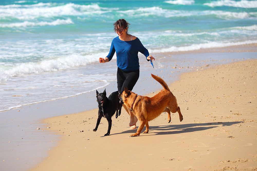 Become Pain Free With Remedial Massage Palmwoods